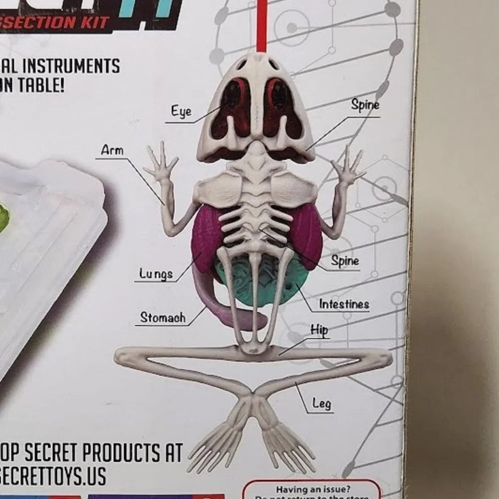 NEW Dissect-it Synthetic Lab Dissection Toy STEM KIT CRAFT Project Frog Biology